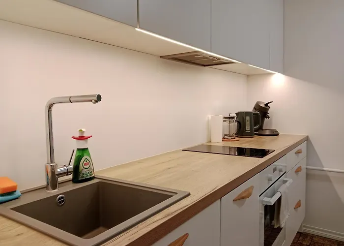 Center Raua With Balcony Apartament Tallin